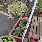 Casa Con Jardin شقة كوستا تاغيسي