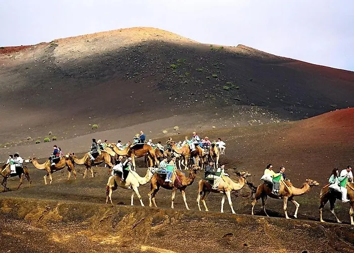 Appartement Casa Con Jardin *